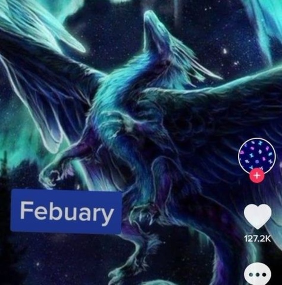 Meet your Posher, Lilie - Picture 1 of 1